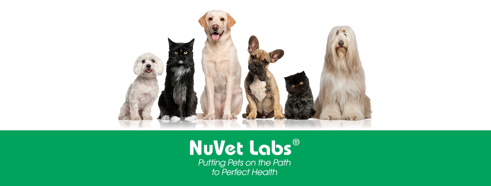 nuvet supplements